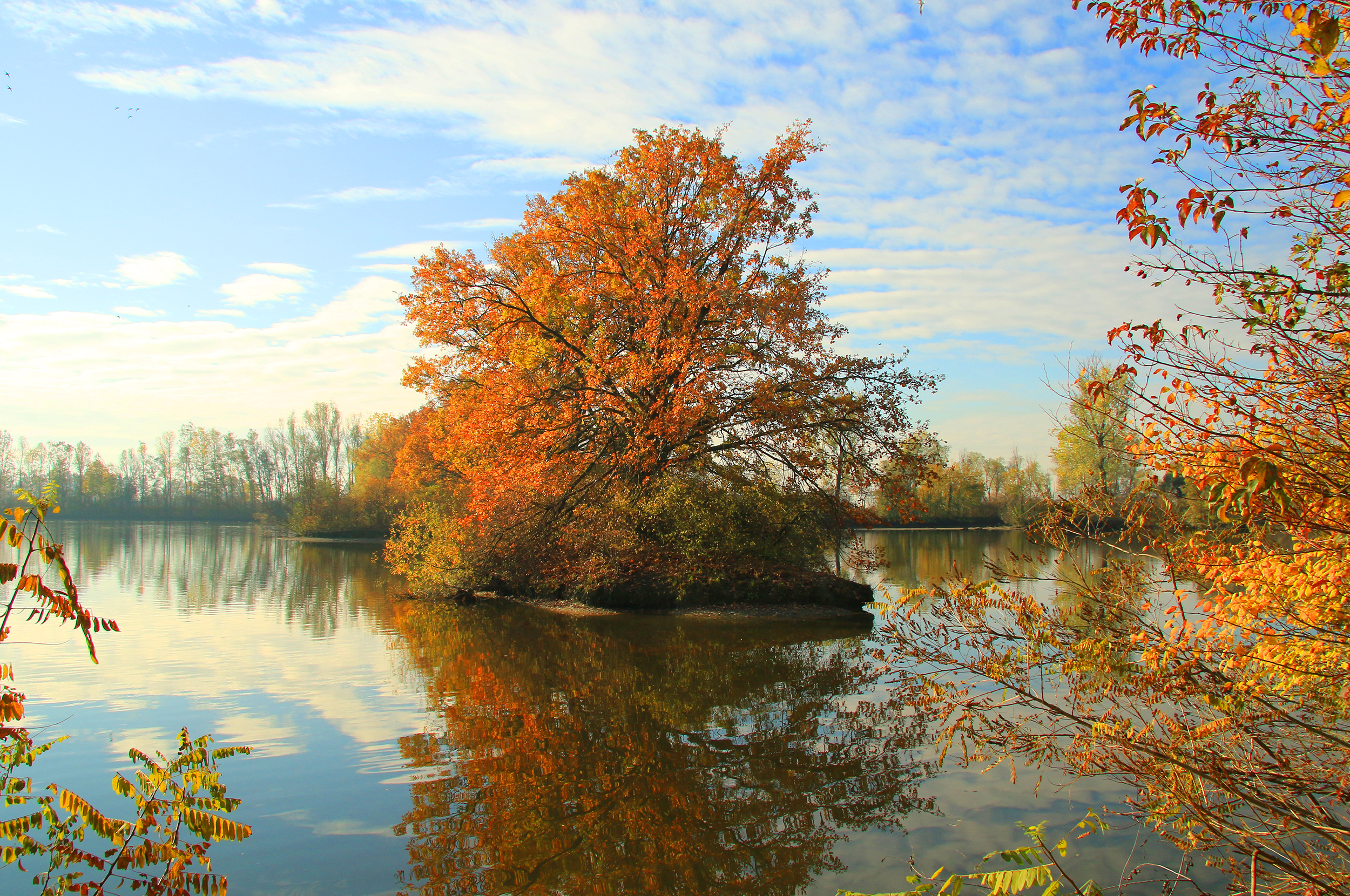 autunno nell'oasi di PaolaTizi