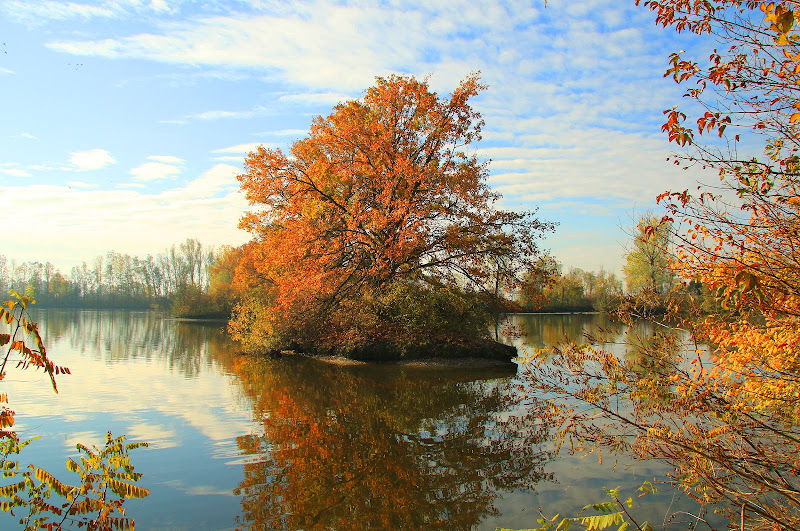 autunno nell'oasi di PaolaTizi