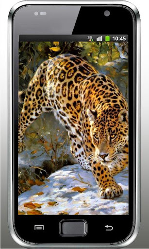 Jaguar Jungles 2015 LWP