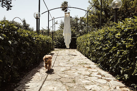 Fotografo di matrimoni Lucia Costantino (puntidivista). Foto del 2 febbraio 2023