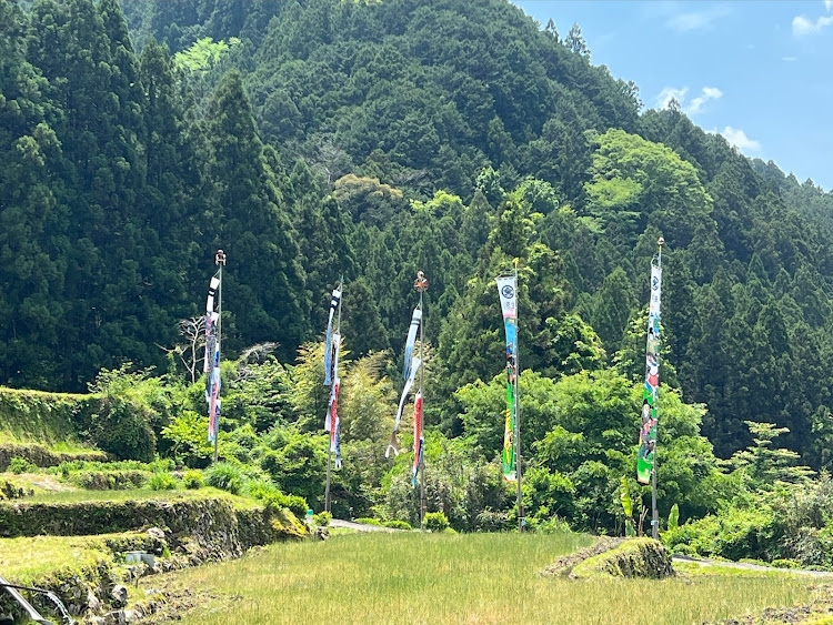 Cクラス ステーションワゴンの🌟久々に登場の🚗コメルﾁｬﾝ❗️・だいぶ前から行きたかった寒風山からの439…♬😊・大歩危のwest様に立ち寄らせて頂きました🎶😄・🐙たこたこ亭の女将に会いに行って来ました❗️✌️😊・これまで御心配頂いたり、御連絡頂きました皆様、本当に心より感謝致しますm(_ _)mに関するカスタム事例の投稿画像5枚目
