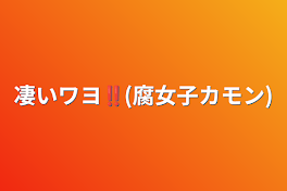 凄いワヨ‼︎(腐女子カモン)