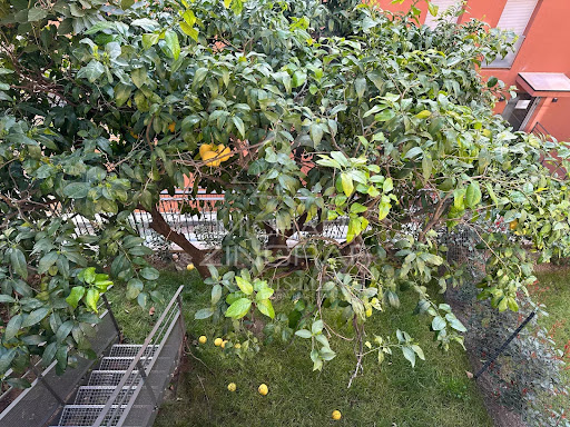 Apartment with terrace 2
