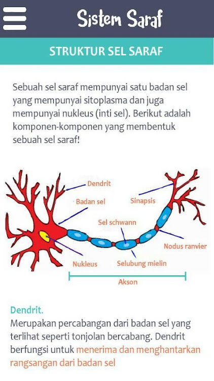 Sistem Saraf - 3.1 - (Android)