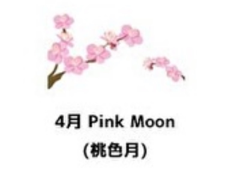 プレオ RS-Limitedの4月の満月・ピンクムーン・お月様🌕コラボに関するカスタム事例の投稿画像3枚目