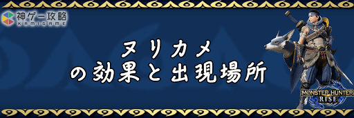 モンハンライズ_ヌリカメ