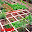 Vegetable Garden Design Download on Windows