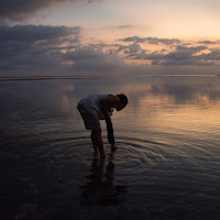 Cercando tra i cerchi d'acqua di 