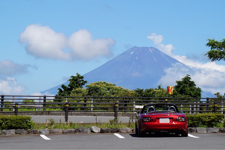 の投稿画像4枚目