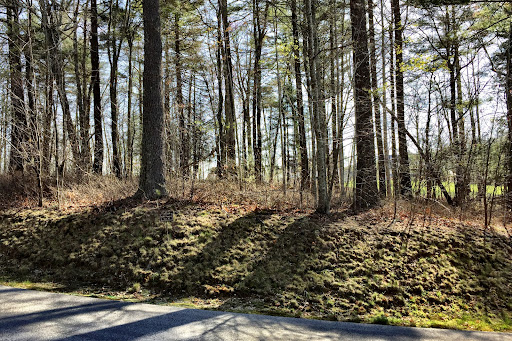 Terrain 4