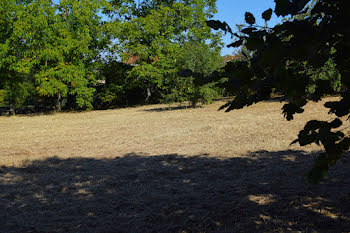 terrain à Saint-Médard-en-Forez (42)