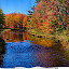 Fall Colors Reflection New Tab, Wallpapers HD