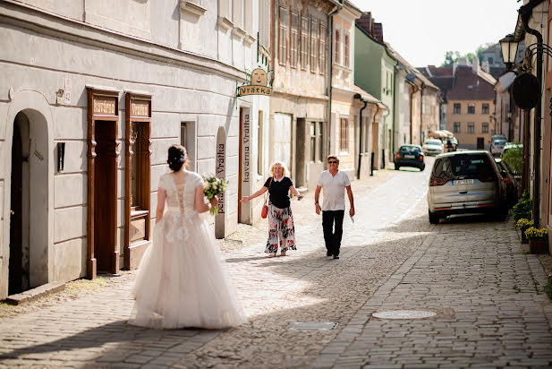 Fotograful de nuntă Marie-Anna Holíková (marieannakrejci). Fotografia din 27 iulie 2022