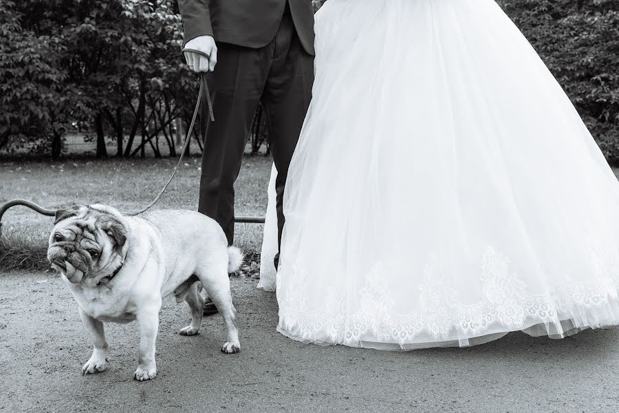 Wedding photographer Denis Davydov (davydofffff). Photo of 14 January 2018