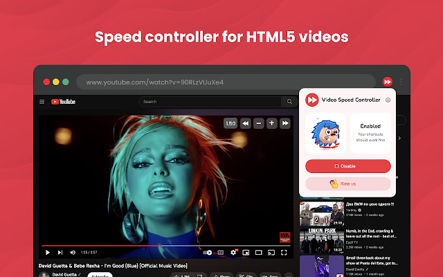 Video Speed Controller - video manager