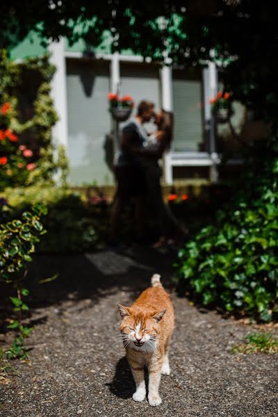 Kāzu fotogrāfs Vladimir Pchela (pchela). Fotogrāfija: 14. jūlijs 2017