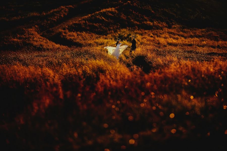 Pulmafotograaf Maciek Januszewski (maciekjanuszews). Foto tehtud 11 november 2017