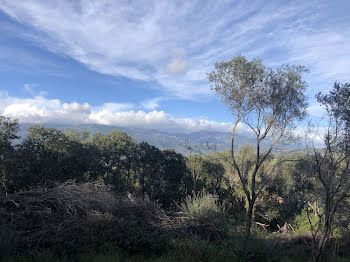 terrain à Figari (2A)