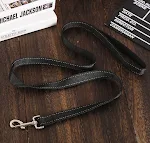 Leash