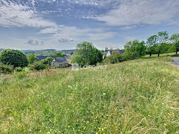 terrain à Lieutadès (15)