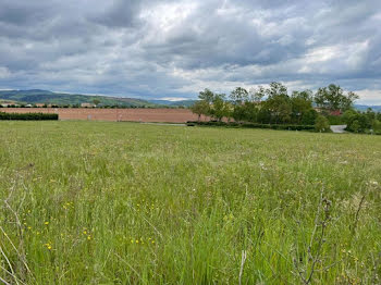 terrain à Belmont-sur-Rance (12)