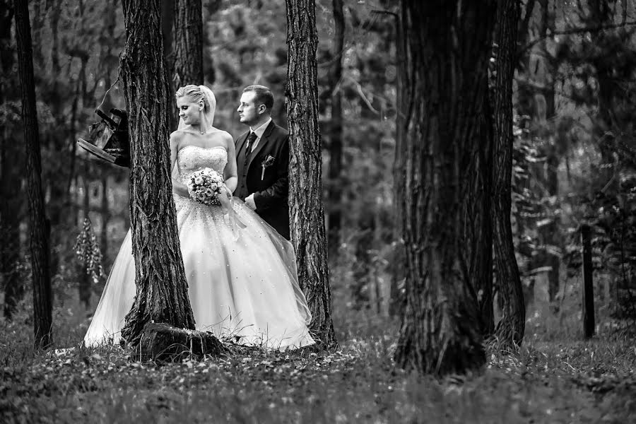 Fotógrafo de bodas Gabor Szakallas (szakallasgabor). Foto del 24 de febrero 2019