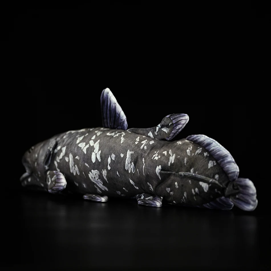 Cute Printed Coelacanth Plush Toy. A soft and cuddly stuffed fish with a charming printed design. The perfect gift for a