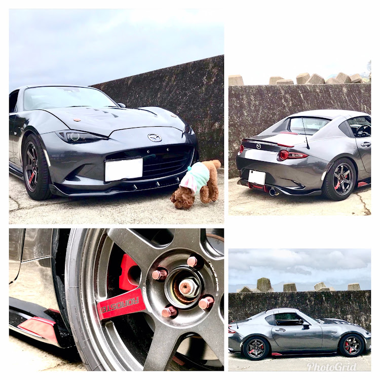 ロードスターのNDロードスター・ロードスターrf・今日のワンコ・サイドステップ取付に関するカスタム事例の投稿画像4枚目