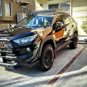 RAV4 MXAA54