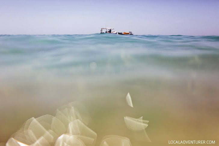 Cabo Snorkeling (Best Things to do in Cabo San Lucas).