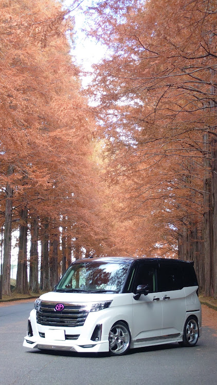 ルーミーカスタムのメタセコイア・レインボーブリッジと愛車・紅葉ドライブ・12月もよろしくお願いしますに関するカスタム事例の投稿画像5枚目