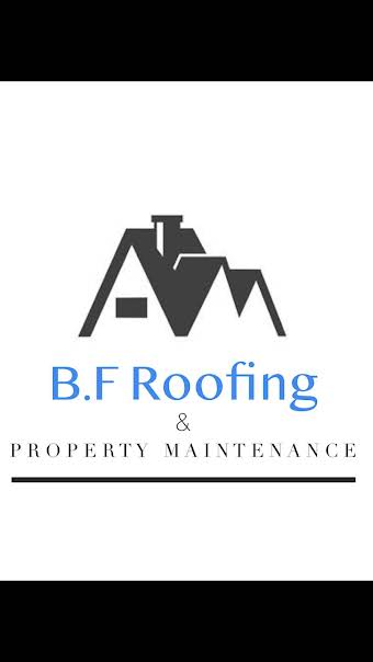 Bf roofing  album cover