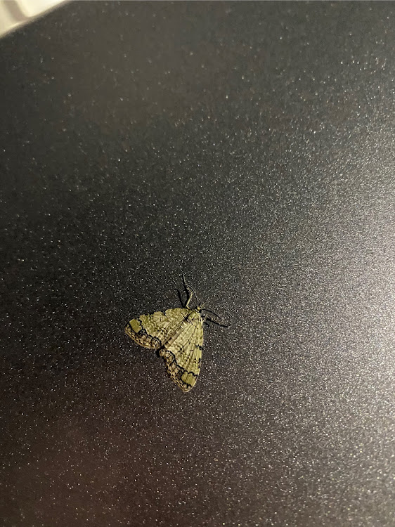 S660の今年最後の夜会に関するカスタム事例の投稿画像16枚目