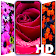 Flower Wallpapers  icon