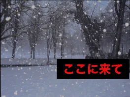 一生に一度の体験「人生を変える」