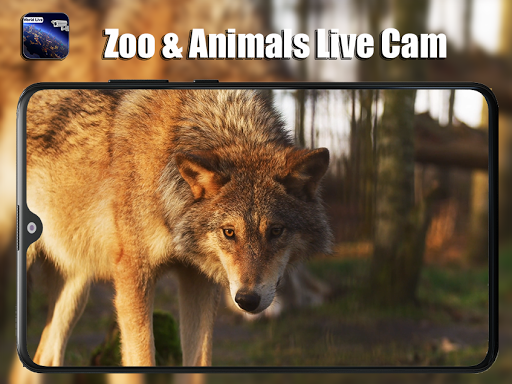 Live Public Cams-Live Earth Web Cams