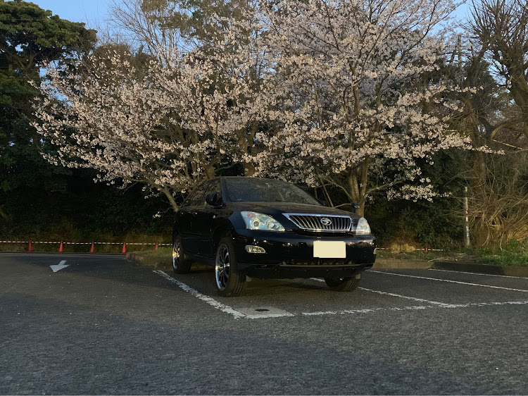 ハリアーのドライブ・誕生日！・桜🌸に関するカスタム事例の投稿画像3枚目
