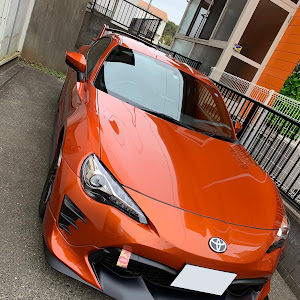 86 ZN6