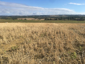 terrain à Castelnaudary (11)