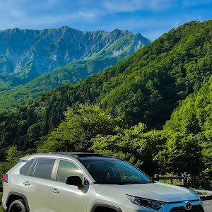 RAV4 AXAH54