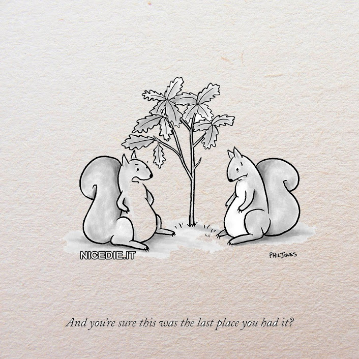 due scoiattoli sono perplessi la ghianda non c'è più al suo posto una piantina, ora dovranno aspettare un bel po'