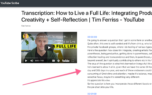Transcribe YouTube Videos - YTScribe