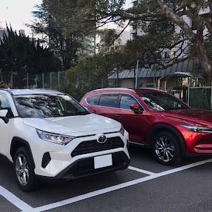 RAV4 MXAA52