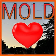 Mold in Flintshire  Icon