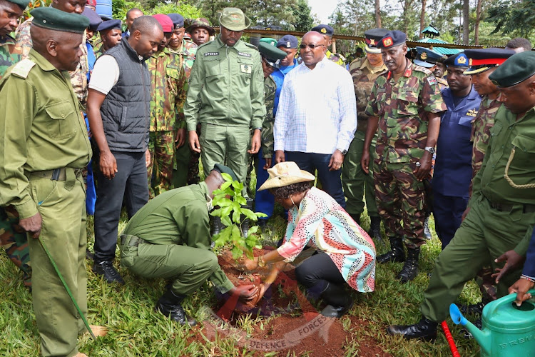 Embu Governor Cecily Mbarire planting tree at Camp Ndunda within Njukiri Forest in Embu County ahead of Madaraka day on May 30, 2023