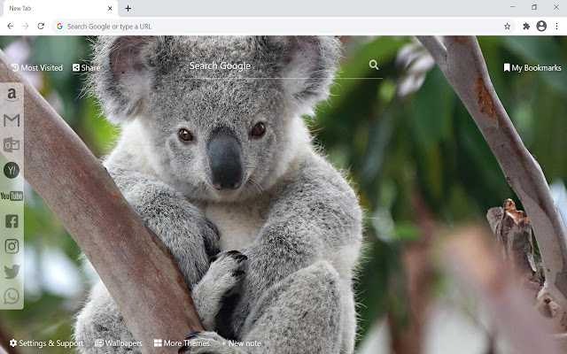 Koala Taustakuva