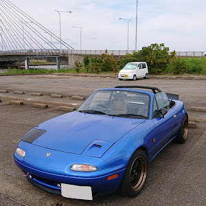 ロードスター NA8C