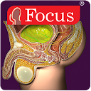 下载 Urology - Medical Dictionary 安装 最新 APK 下载程序