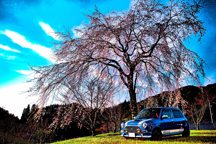 ミラジーノの桜と愛車・桜とコラボ・穴場スポットを求めて・一眼レフのある生活に関するカスタム事例の投稿画像2枚目