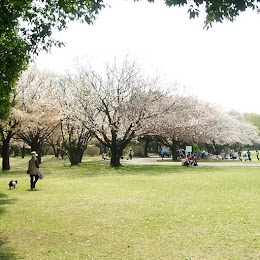 所沢航空記念公園